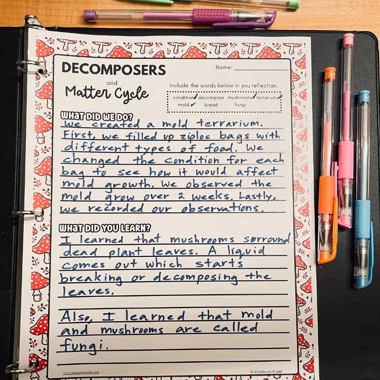 Student writing of what we did and what we learned in Decomposer and Matter Cycle lesson