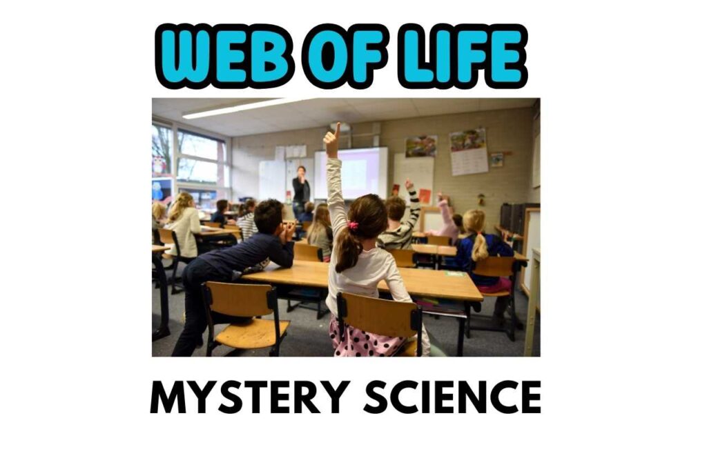 Web of Life Mystery Science Game