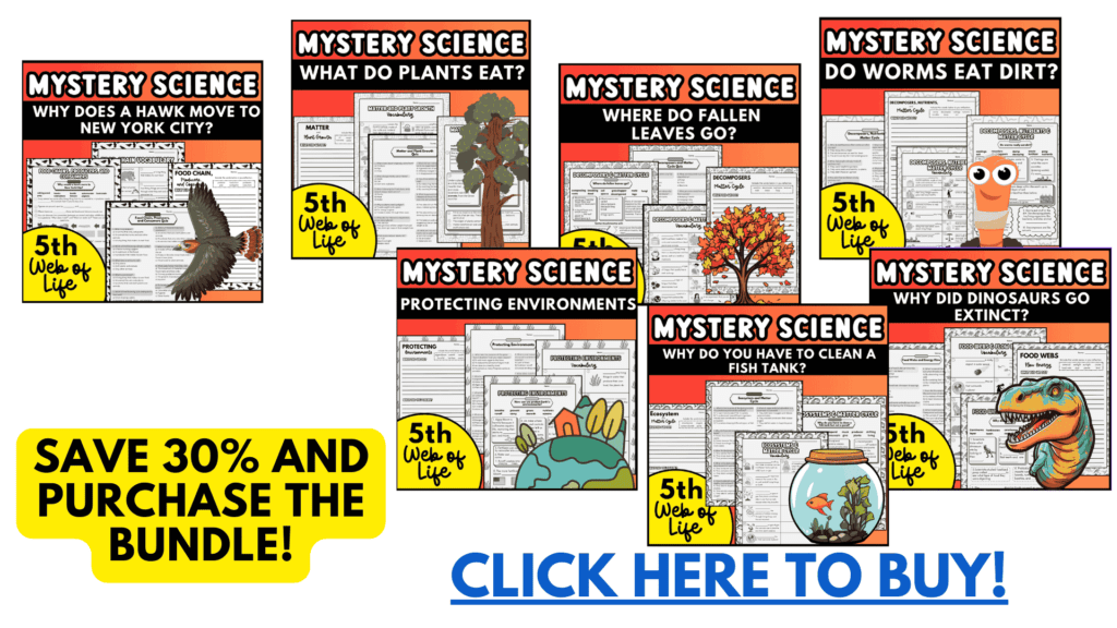 5th Mystery Science Web of Life supplemental worksheets