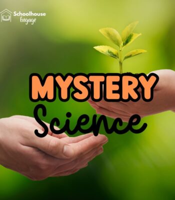 Two people holding hands and a plant and text that says Mystery Science Guided Notes Worksheets. Web of Life.