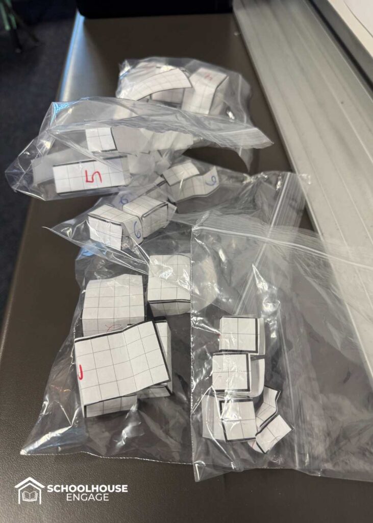 Paper Rectangular prisms in plastic bags