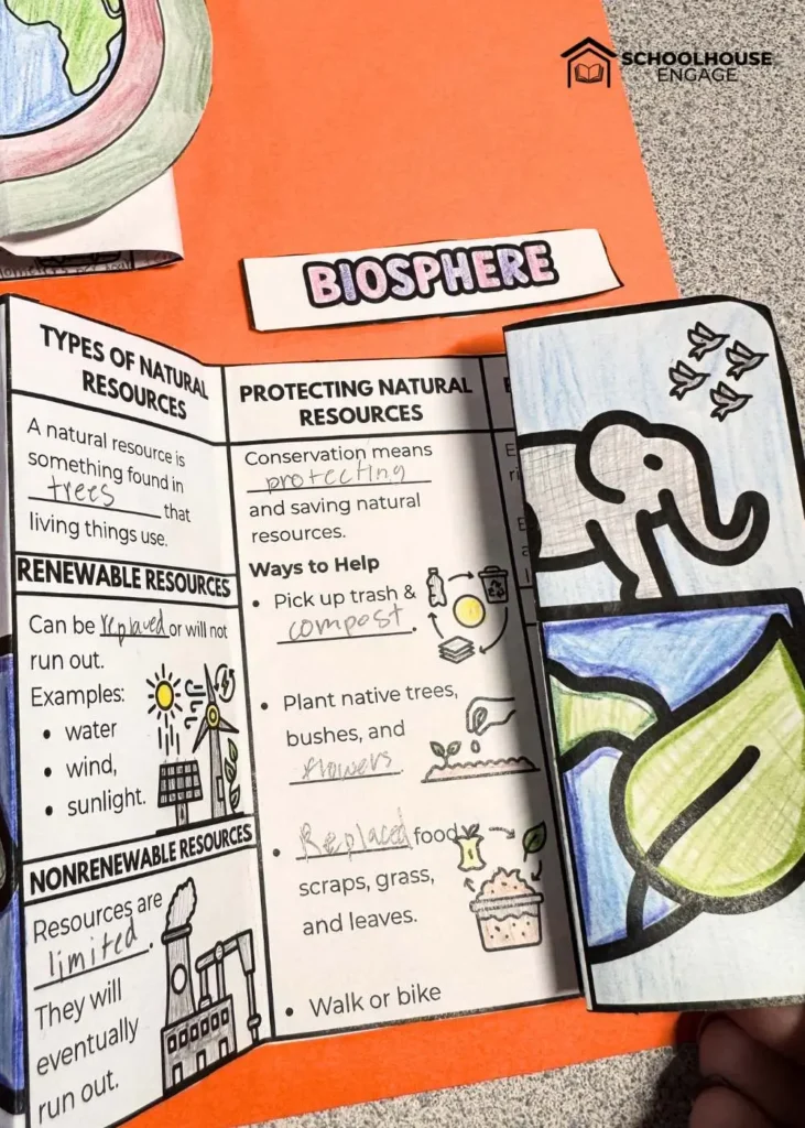 Biosphere foldable coloring activity elementary